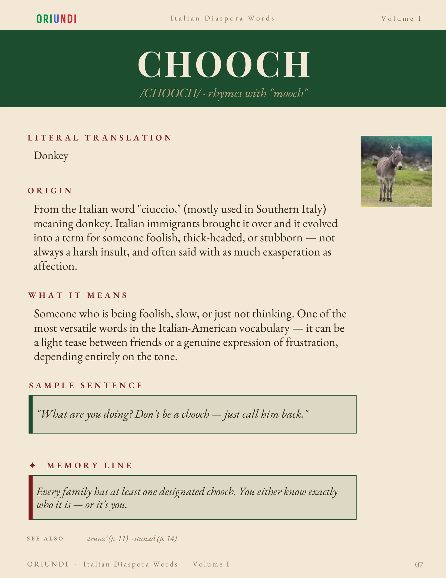 Italian Diaspora Words: Volume I
